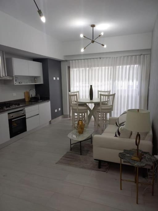 Brickell Hotel Apto G 08 Santo Domingo Bella Vista Zewnętrze zdjęcie